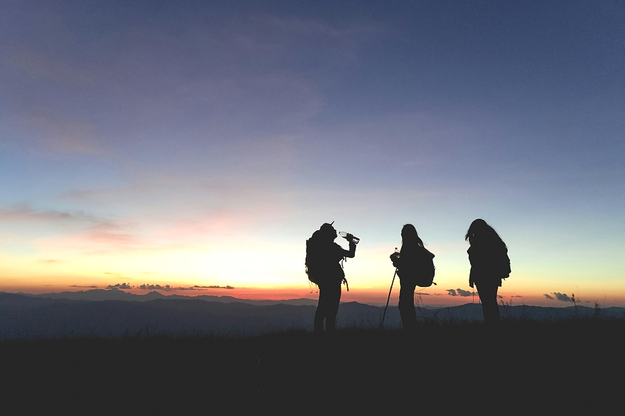 TOURISM MOTIVATION: INDUCTION INTO TOURISM